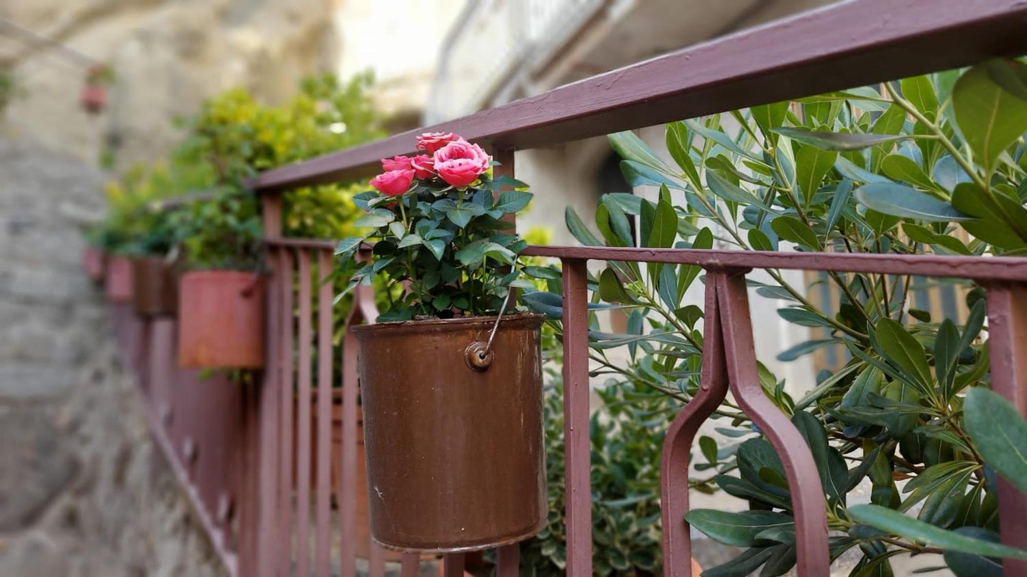 Cerami La Casa Del Tempo Bed & Breakfast エクステリア 写真